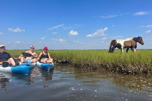 Glide Through Serenity: Kayak Assateague Island's Wildlife Oasis