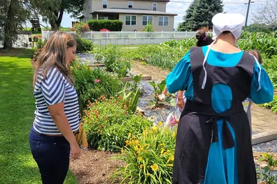 Unveiling Amish Life: An Exclusive Lancaster Immersion