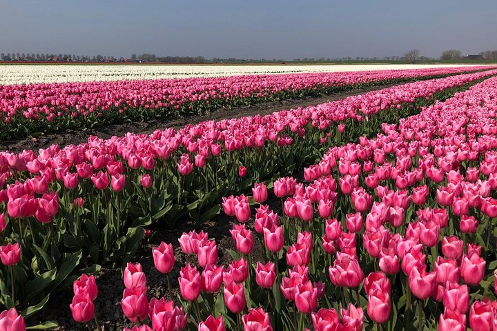 Experience Image img1