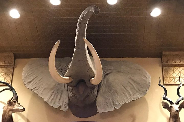 Experience Image img3