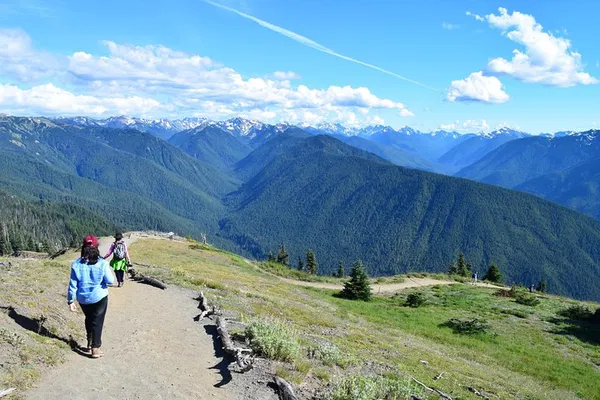 Olympic National Park: A Trio of Natural Wonders Awaits!