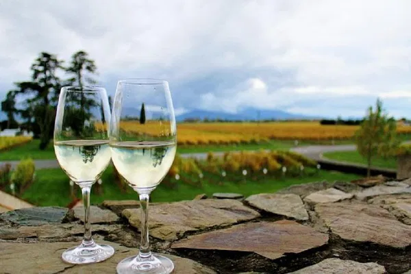 Marlborough Wine & Gourmet Trail: Taste Sensation!