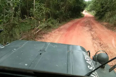 Uncover My Son's Majesty: A Jeep Adventure from Hoi An