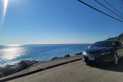 Private LAX ➡️ Long Beach Cruise Port Transfer