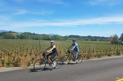 Napa & Sonoma Unveiled: Cycle Through Vineyards & Olive Groves!