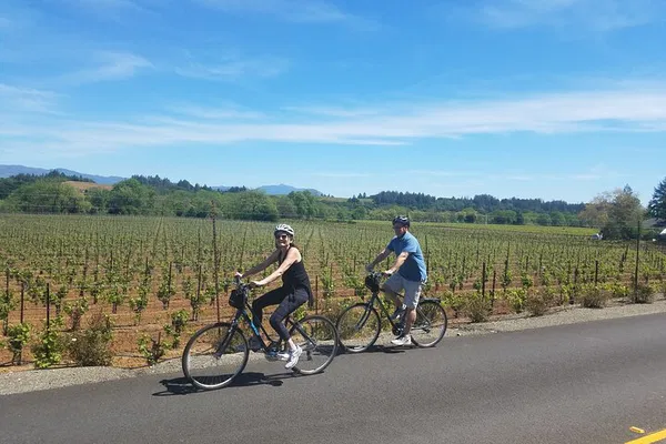 Napa & Sonoma Unveiled: Cycle Through Vineyards & Olive Groves!