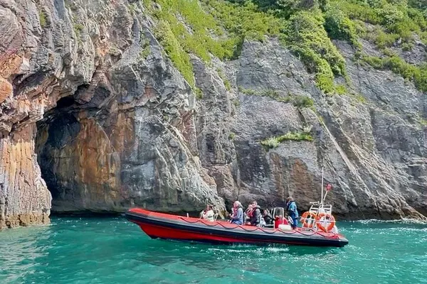 Torquay's Coastal Explorer: 90-Minute Wildlife & Geopark Adventure!