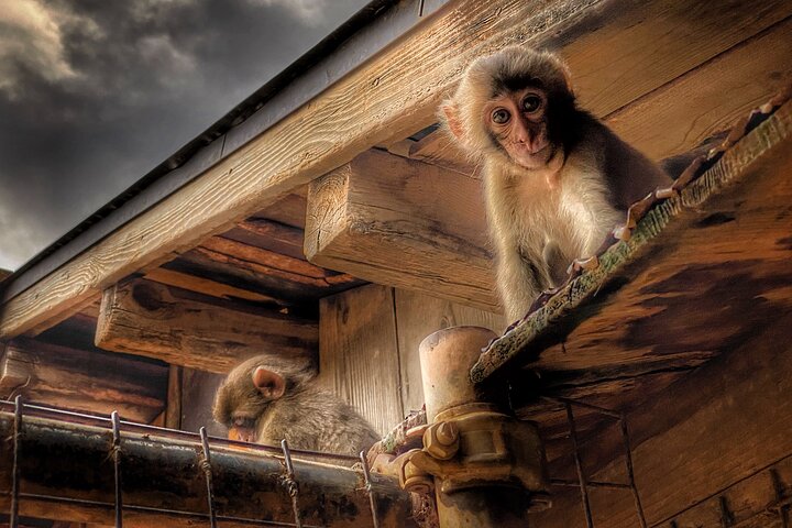 Experience Image img1