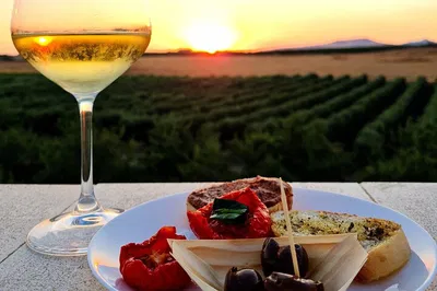 Agrigento Wine Tasting Under Stars: Vineyard Tour