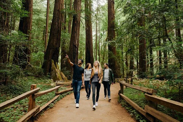 San Francisco & Muir Woods Day Trip: Alcatraz Option