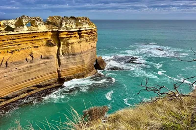 Great Ocean Road Private Tour: Full Day Coastal Views