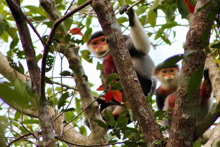 Experience Image img1