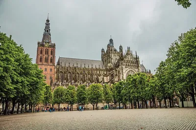 Discover Den Bosch: A Self-Guided Audio Adventure