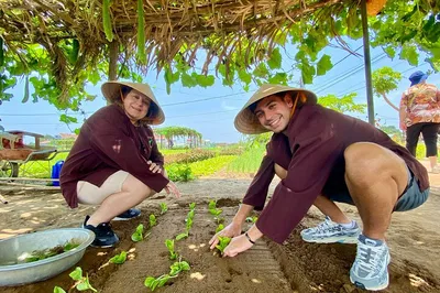 Discover Hoi An & My Son: A Private Cultural Immersion