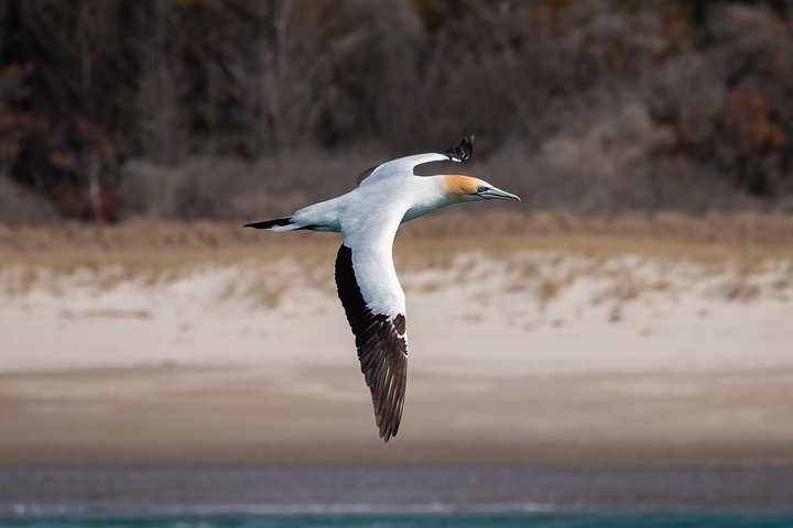 Experience Image img3