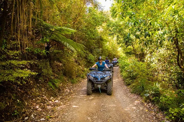 Quad Bike Farm Forest Adventure | Easy Fun Rides