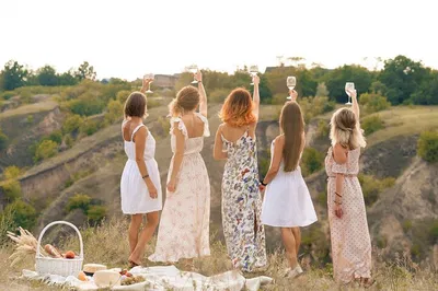 Unveiling Provence's Wine Secrets: A Half-Day Vineyard Escape