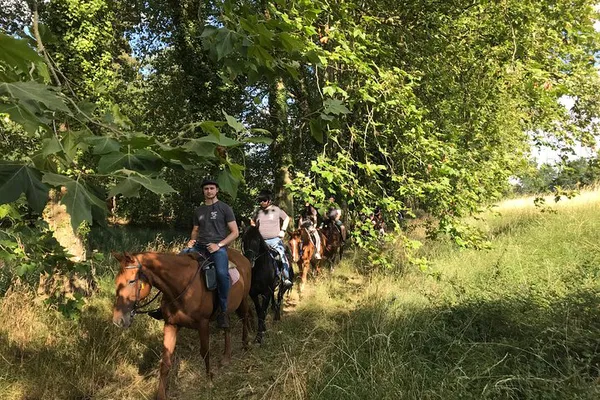 Discover Belize's Beauty: A Guided Horseback Adventure Through Forests and Plains