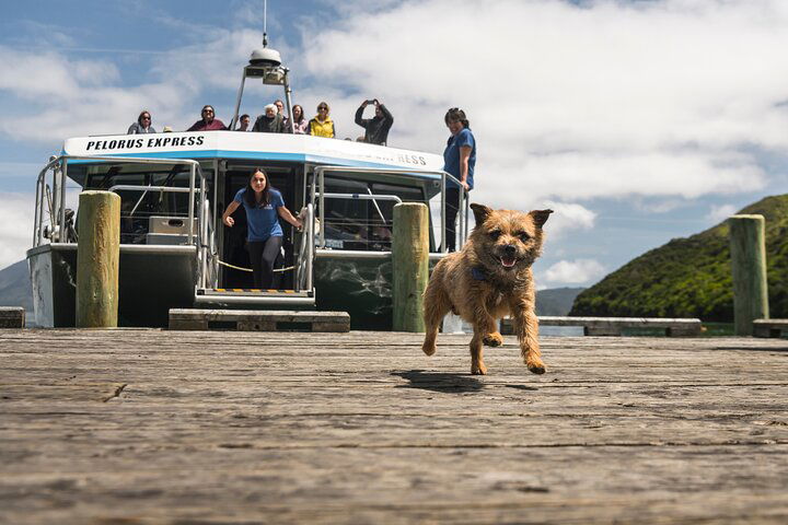 Experience Image img3