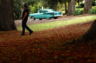 Timeless Elegance: Dandenong Ranges Classic Car Tour