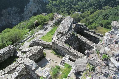 Image 1
