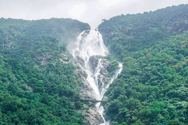 Unveiling Goa's Treasures: Dudhsagar Falls, Spice Plantation & Jungle Safari Adventure