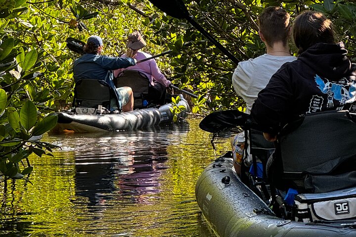 Fort Pierce Jungle Kayak Tour: Prehistoric Preserve!