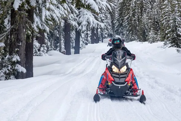 Mt Hood Snowmobile Adventure: 90-Minute Thrill Ride