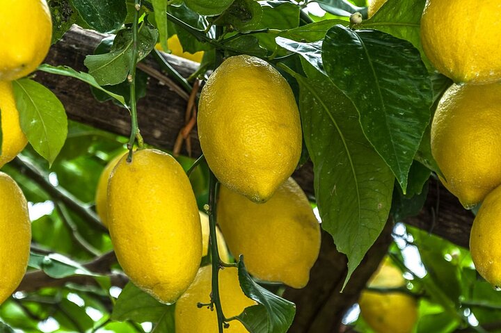 https://images.dyvarcity.com/experience-images/dyvarcity_1fb21b7b0f16d6bf9e037e32a_1a.jpg