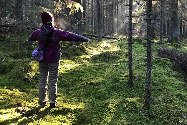 Nuuksio Hike: Forest, Meal, & Finnish Culture