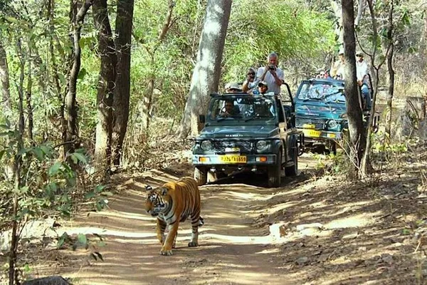 Golden Triangle Tour + Ranthambore Tiger Safari