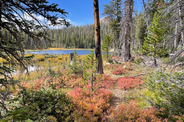 Experience Image img1