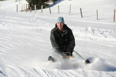 Davos Sledging Adventure: Swiss Alps Thrills!