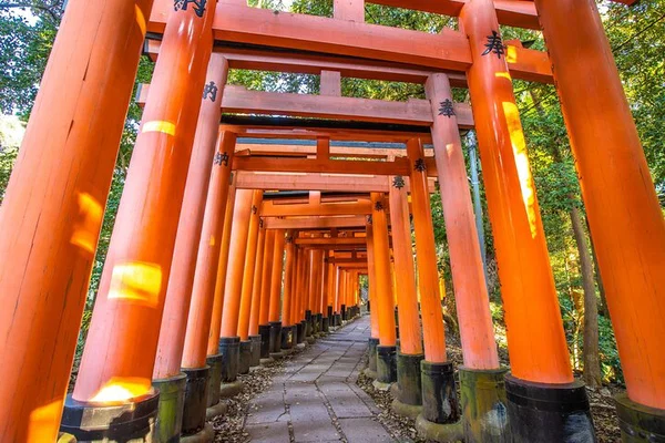 Kyoto & Nara Day Trip from Osaka: Top Sights & Deer!