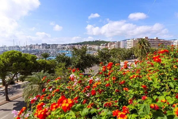 Palma's Hidden Gems: Uncover the City's Soul in 60 Minutes!