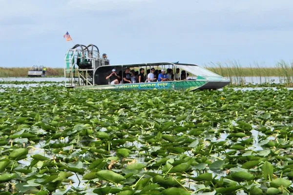 Everglades Adventure: Airboat Ride & Miami Beach Bus Tour!