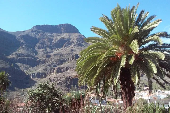 img0