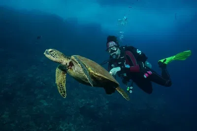 Maui Turtle Dive & Snorkel Boat Tour: 2-Tank Adventure