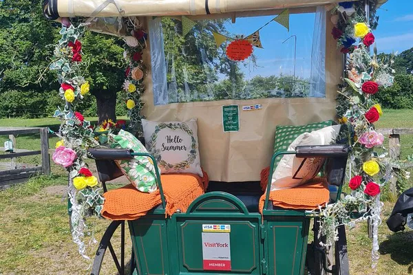 York Horse Carriage Ride: Private Country Estate Tour