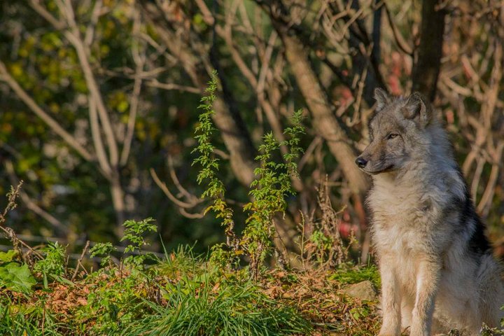 Experience Image img2