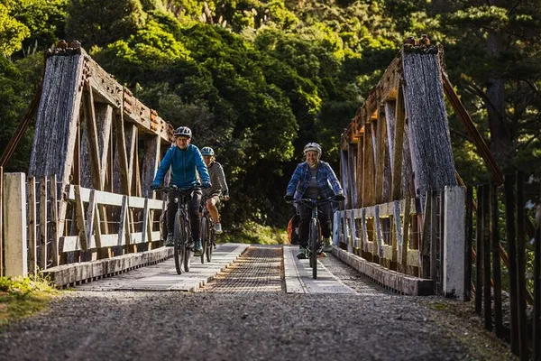 E-Bike Adventure: Explore Wellington's Remutaka Rail Trail