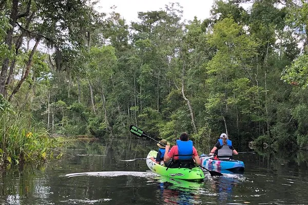 Glide Through Serene Waters: A Self-Guided Kayaking Adventure in Real Florida
