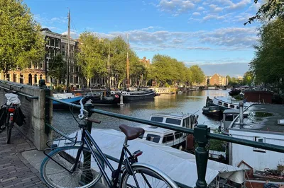 Discover Amsterdam's Charm: A Personalized Walking Adventure