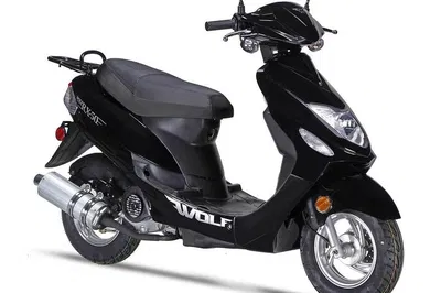 Miami Scooter Adventure: Explore Belize on Two Wheels!