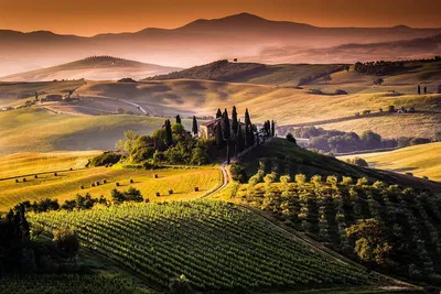 Tuscany Unveiled: A Luxurious 5-Day Wine & Culinary Journey