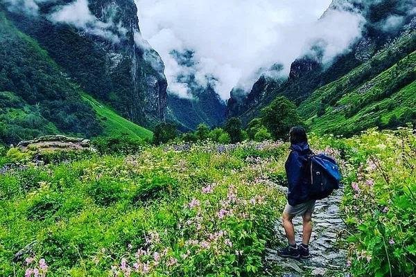 Embark on a 7-Day Himalayan Trek to the Valley of Flowers
