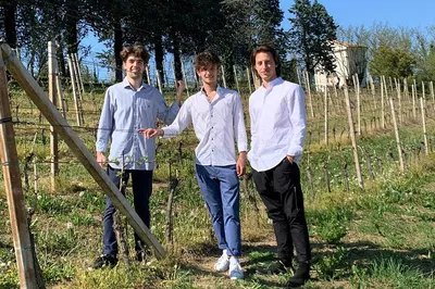Unveiling Barbaresco: A Sommelier-Led Wine & Food Journey in Asti's Vineyards