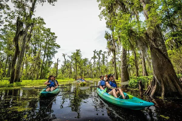Manchac Swamp Kayak Tour: See Louisiana's Wild Side