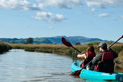 Napa Kayak Tour: Water to Vine Adventure!