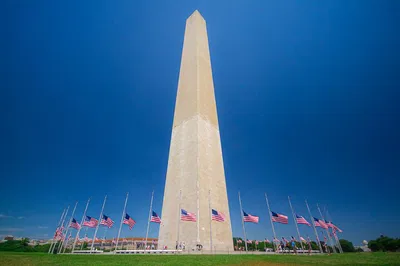 DC's Top Sights: Ultimate Sightseeing Bus Tour